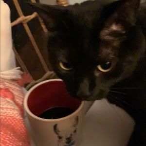 Meet your Posher, Melanie